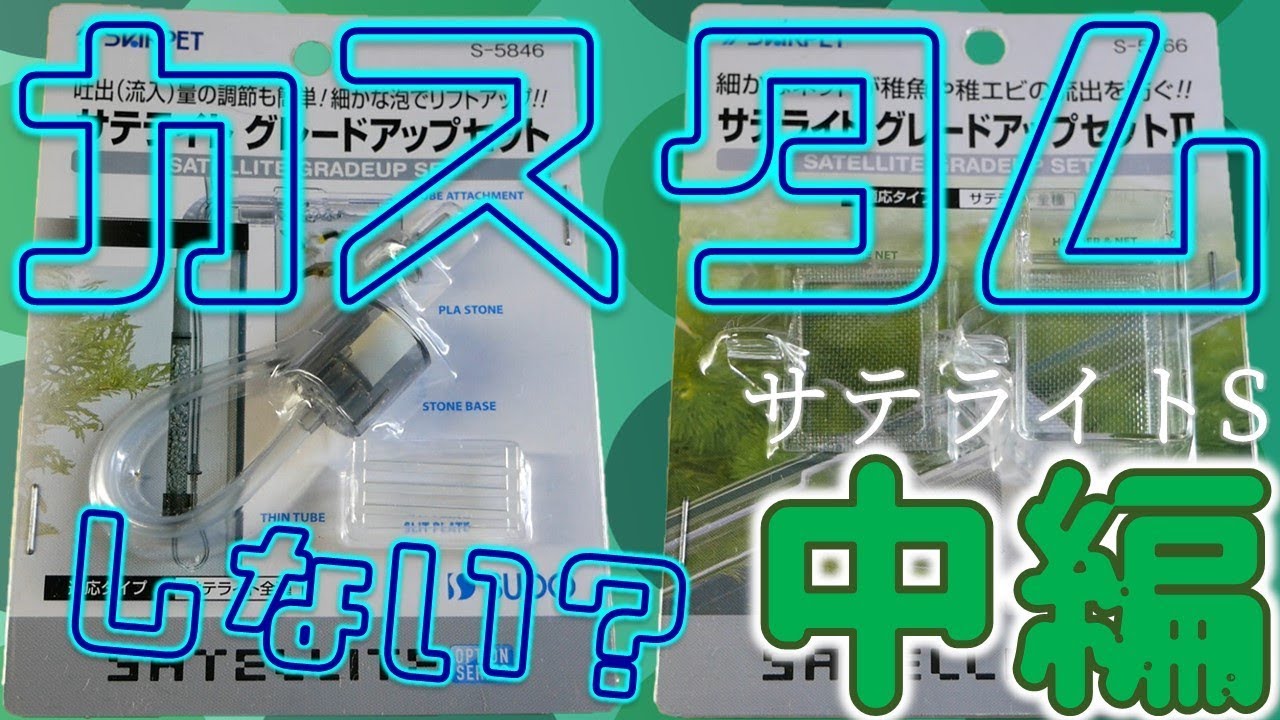 【産卵箱】サテライトSを購入。絶対グレードアップしてやる。中編！【ふぶきテトラ】