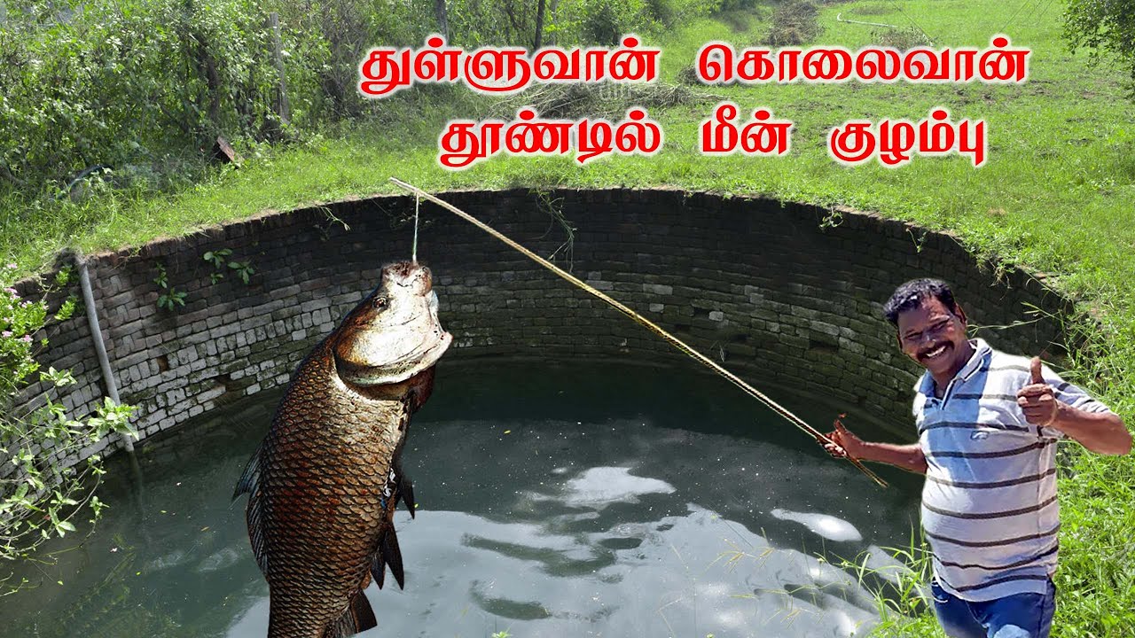 துள்ளுவான் கொலைவான் தூண்டில் மீன் குழம்பு | Bait fish broth | Intresting Fish Recipe