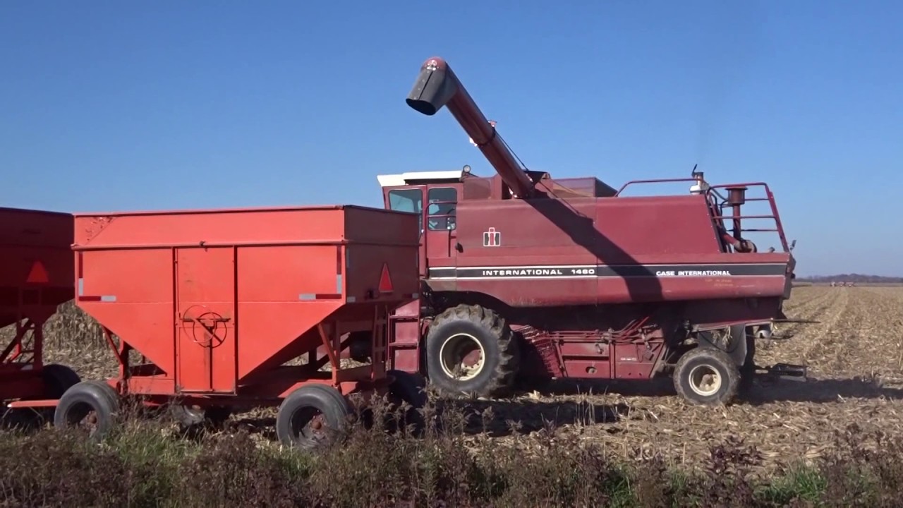 Old School International 1460 Combine Harvest 2016 #harvestchaser