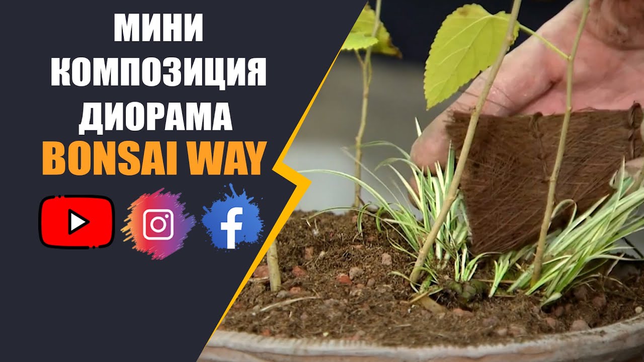 Мини композиция диорама / Bonsai Way