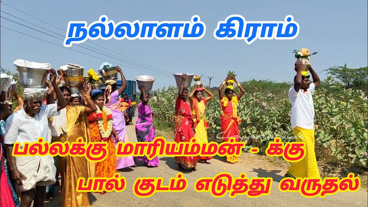 நல்லாலம் கிராமத்தின் பல்லக்கு மாரியம்மன் பால்குடம் எடுக்கும் திருவிழா செய்யாறு வட்டம் தி மலை #pakthi