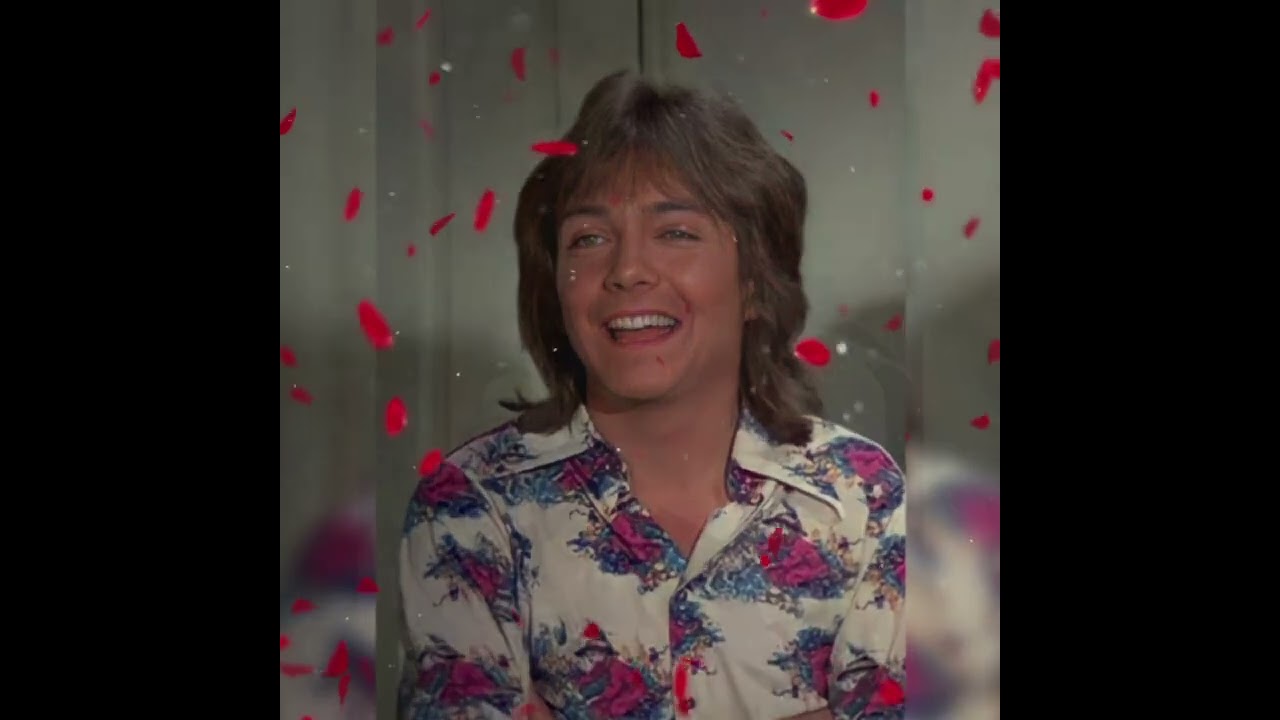 David Cassidy Tribute - Sheltered In Your Arms