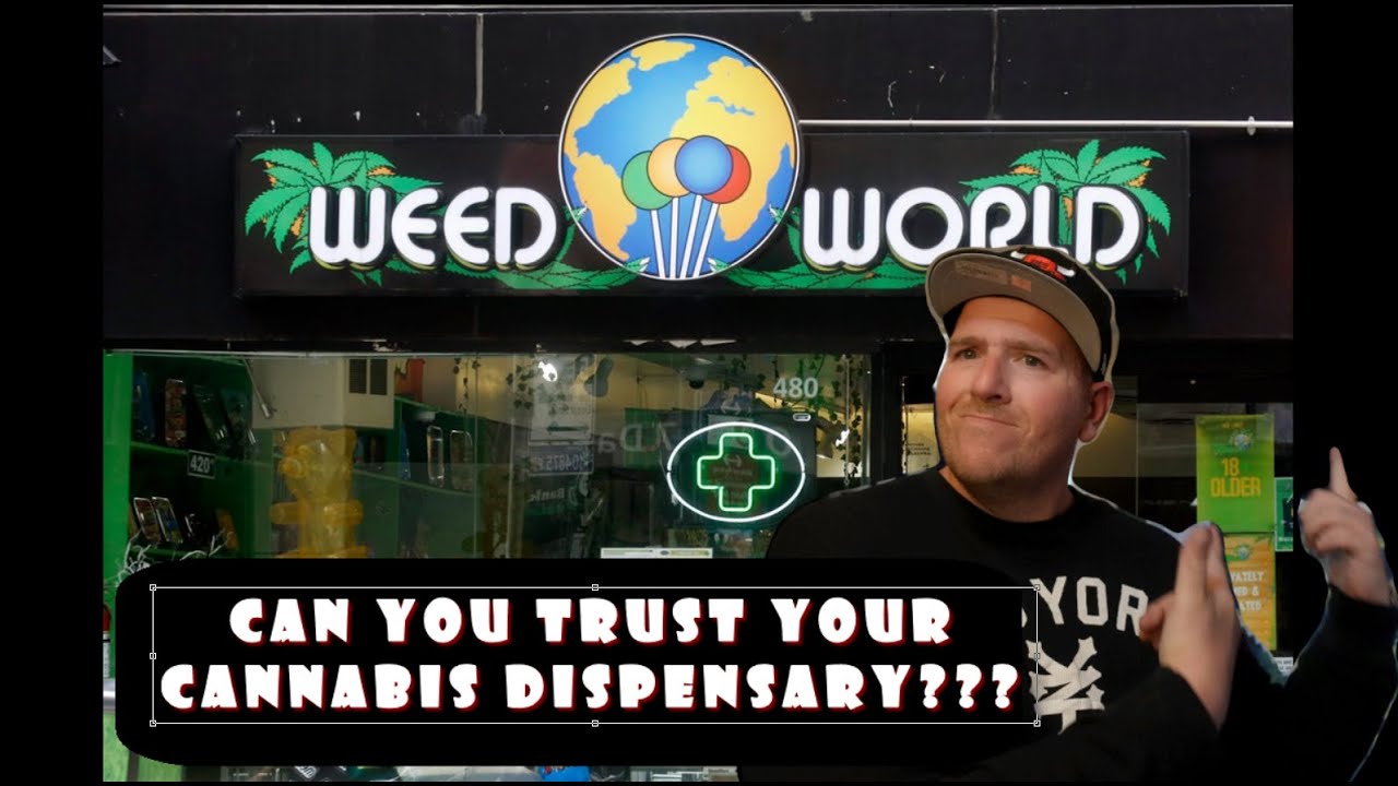 Can You TRUST The Local Cannabis Dispensary!