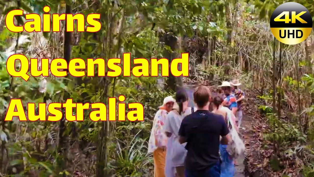 Josephine Falls Wooroonooran National Park Queensland Australia | Sydney Walking Tour