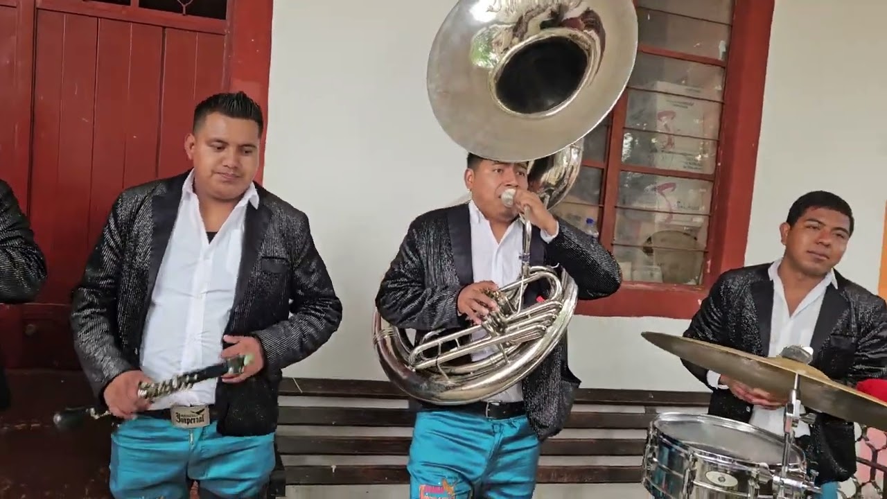 Vídeos  @J.guadalupe granados1986