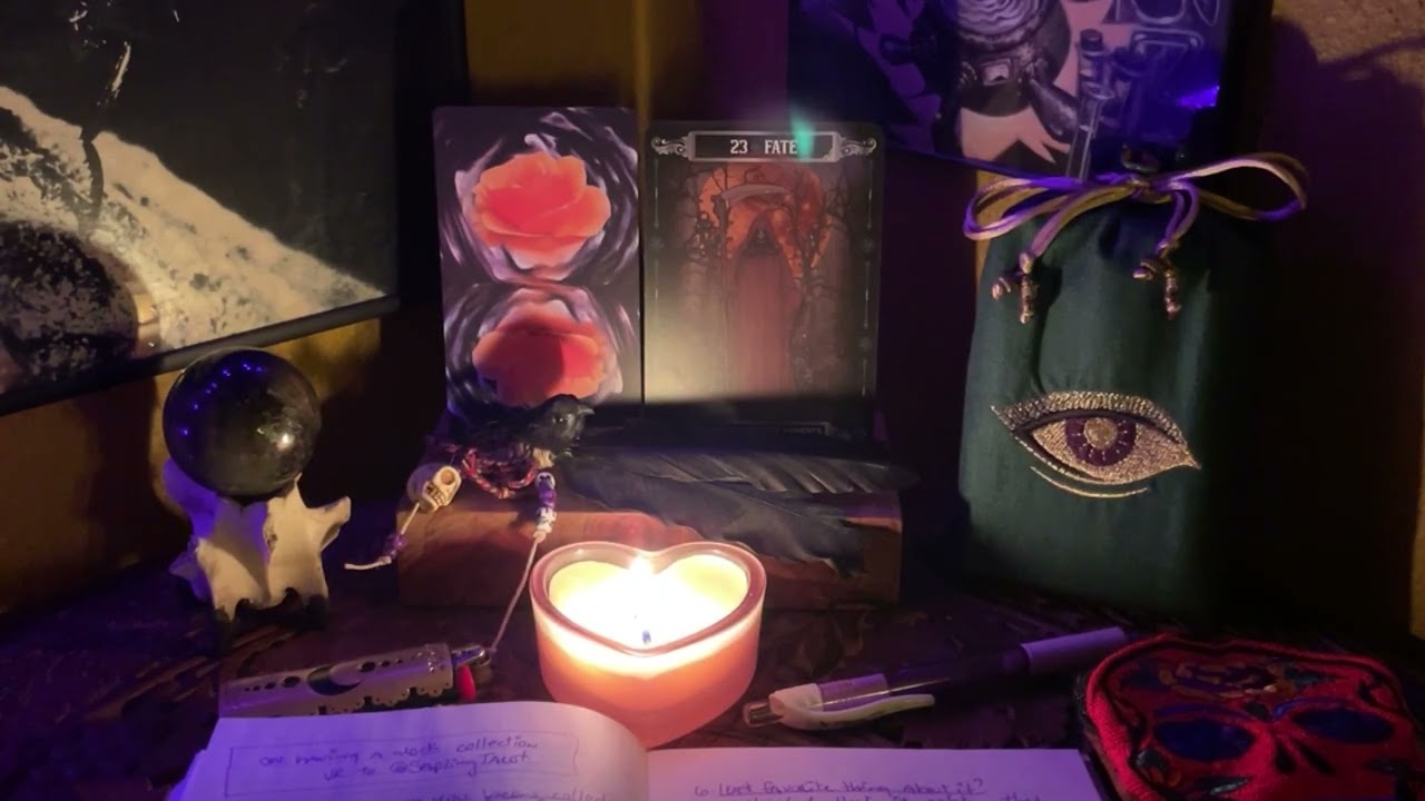 В процессе коллекционирования VR-коллекций для @SaplingTarot