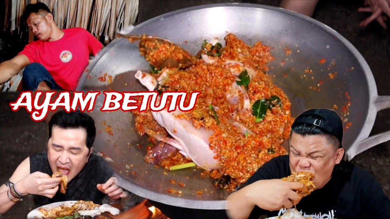 AYAMM BETUTU INI BIKIN TEPAR JAWARA !!