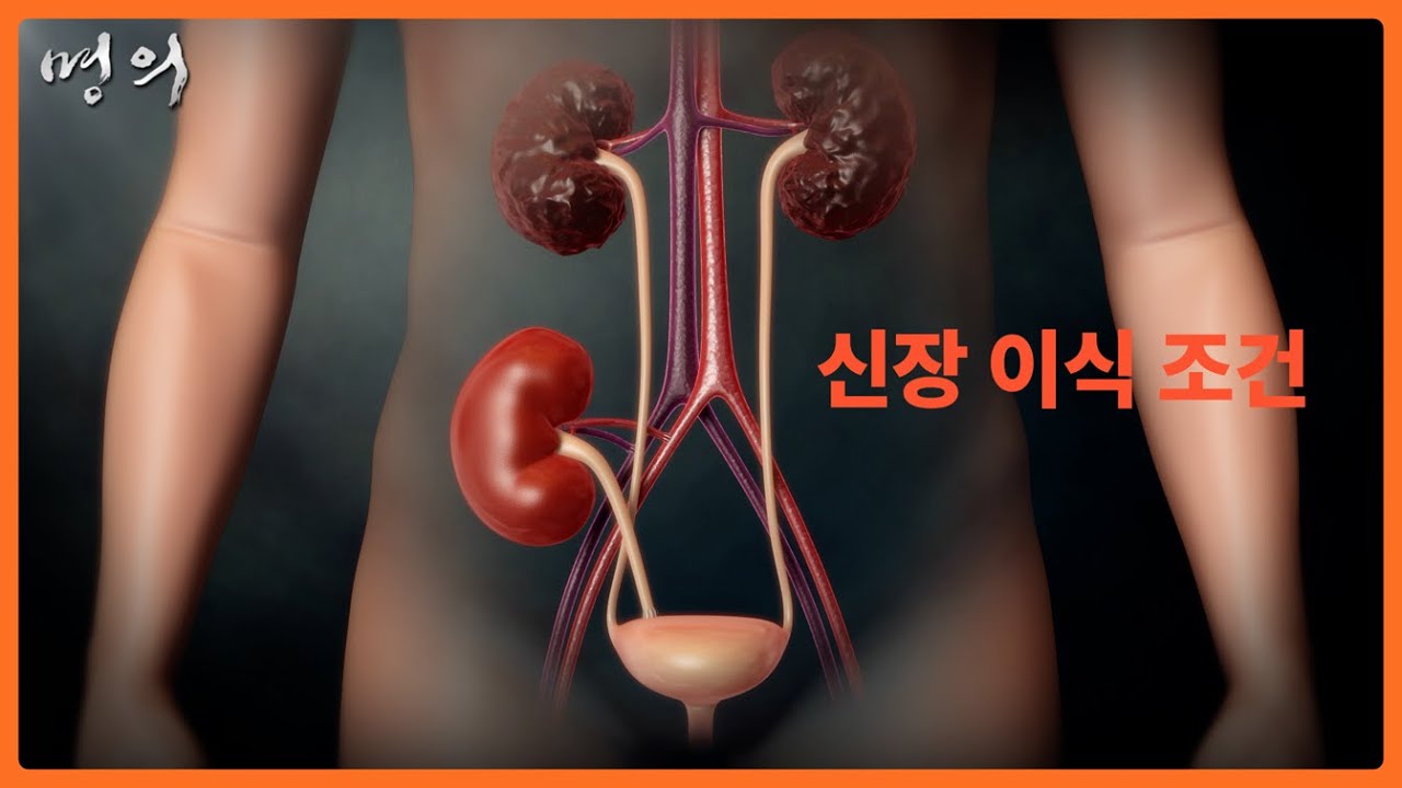 신장 이식을 위한 조건은? | 장기이식 | 신장이식 | 동정맥기형 #EBS건강