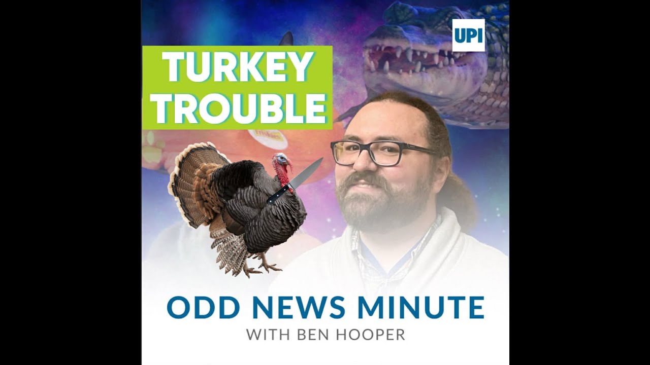 Turkeys terrorize neighborhood, 'pooch pirates'