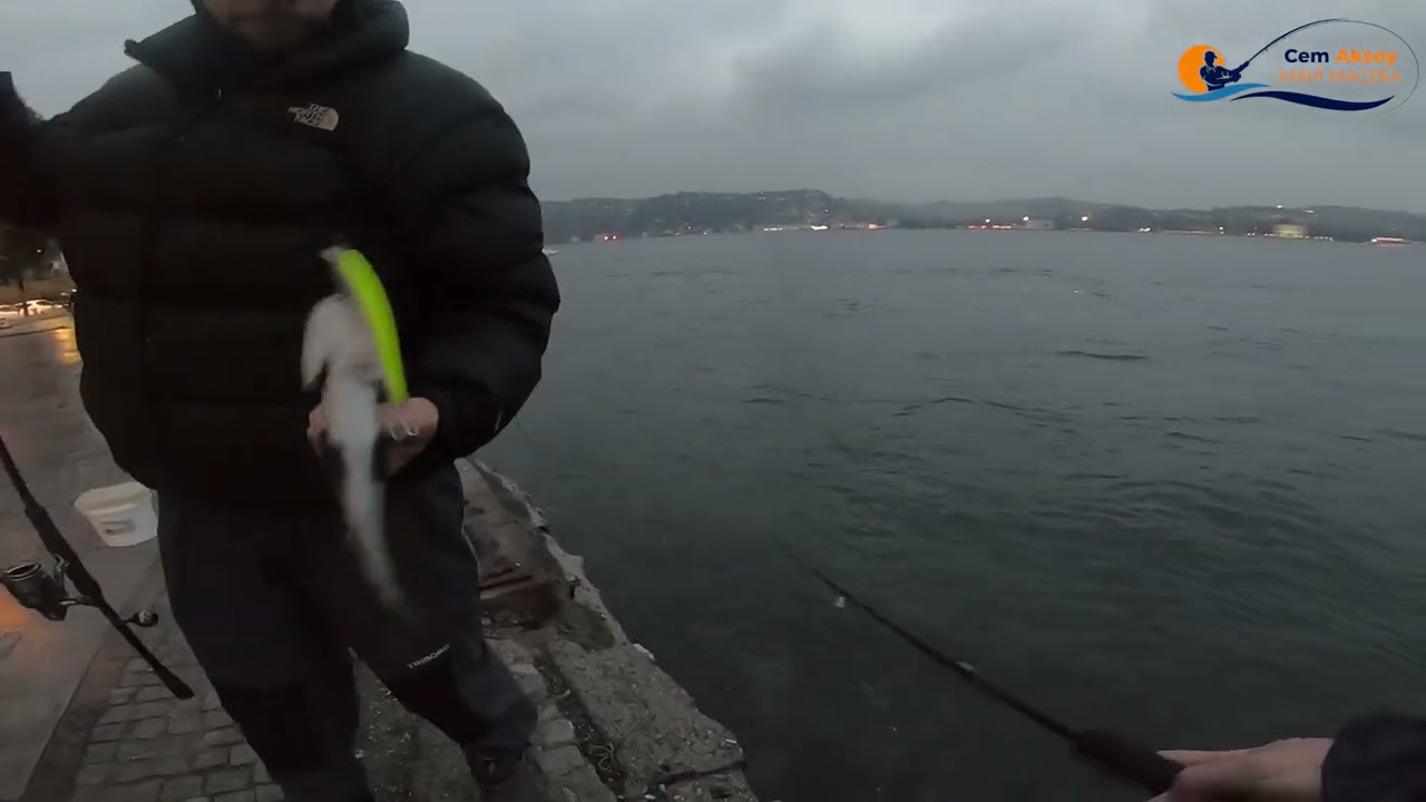 İstanbul Boğaz Balık Avı - Aşiyan Spin Balık Avı Lüfer Avı Bereketli Sene 2021