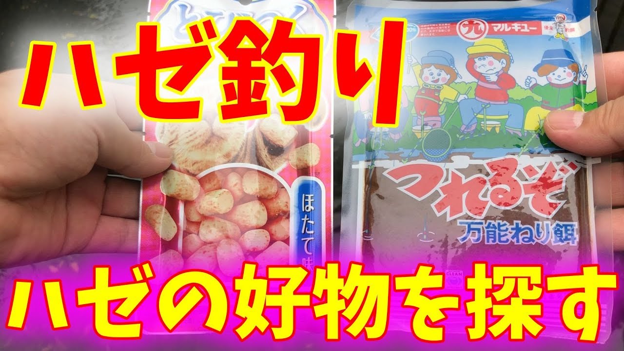 虫が触れない触りたくない人向けハゼ釣りエサを探す旅vol.27