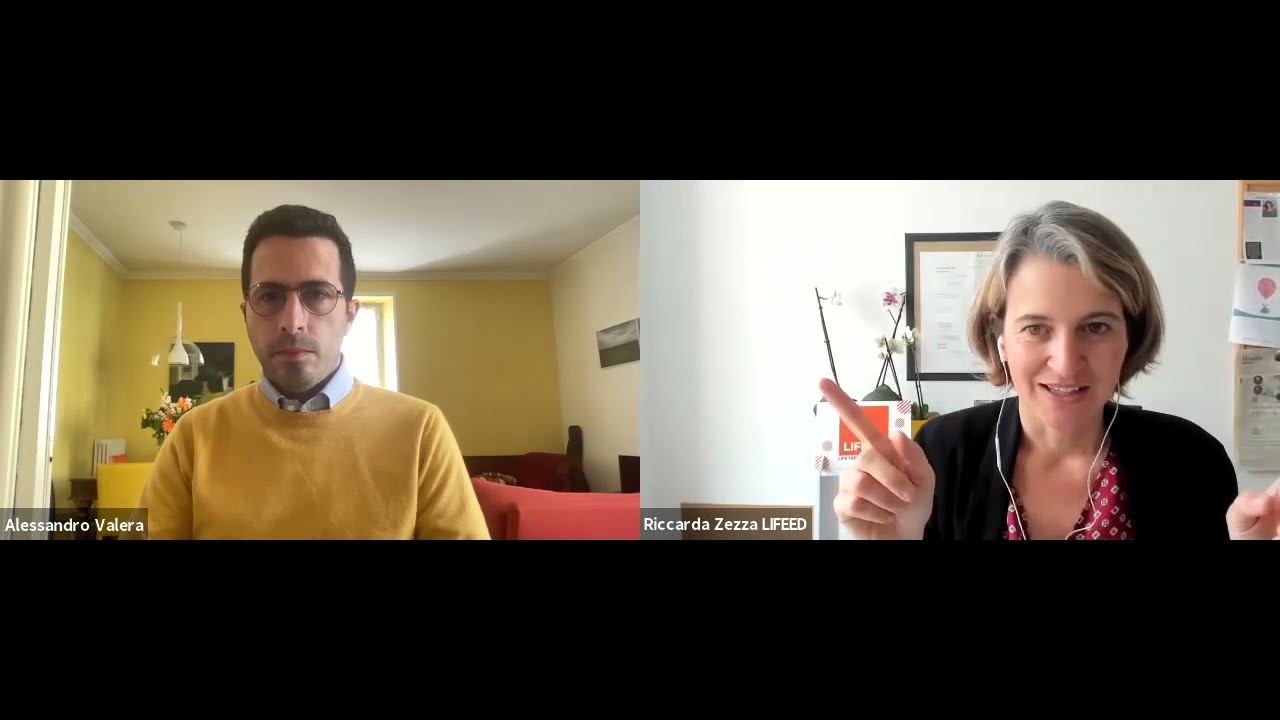 Riccarda Zezza on framechange