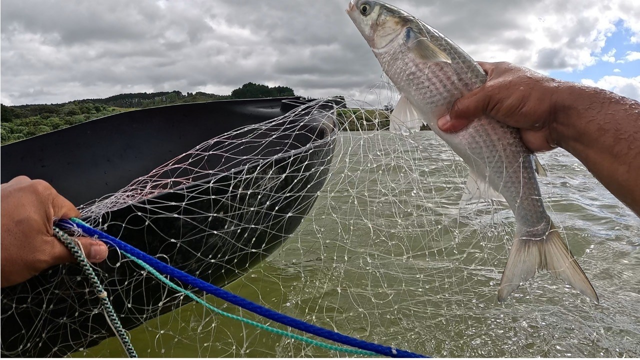 BOAT FOR A SET NET!