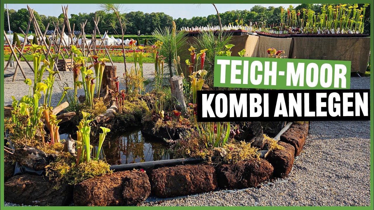 Halb Teich, Halb Moor -  Biotop mit fleischfressenden Pflanzen für den Garten #293