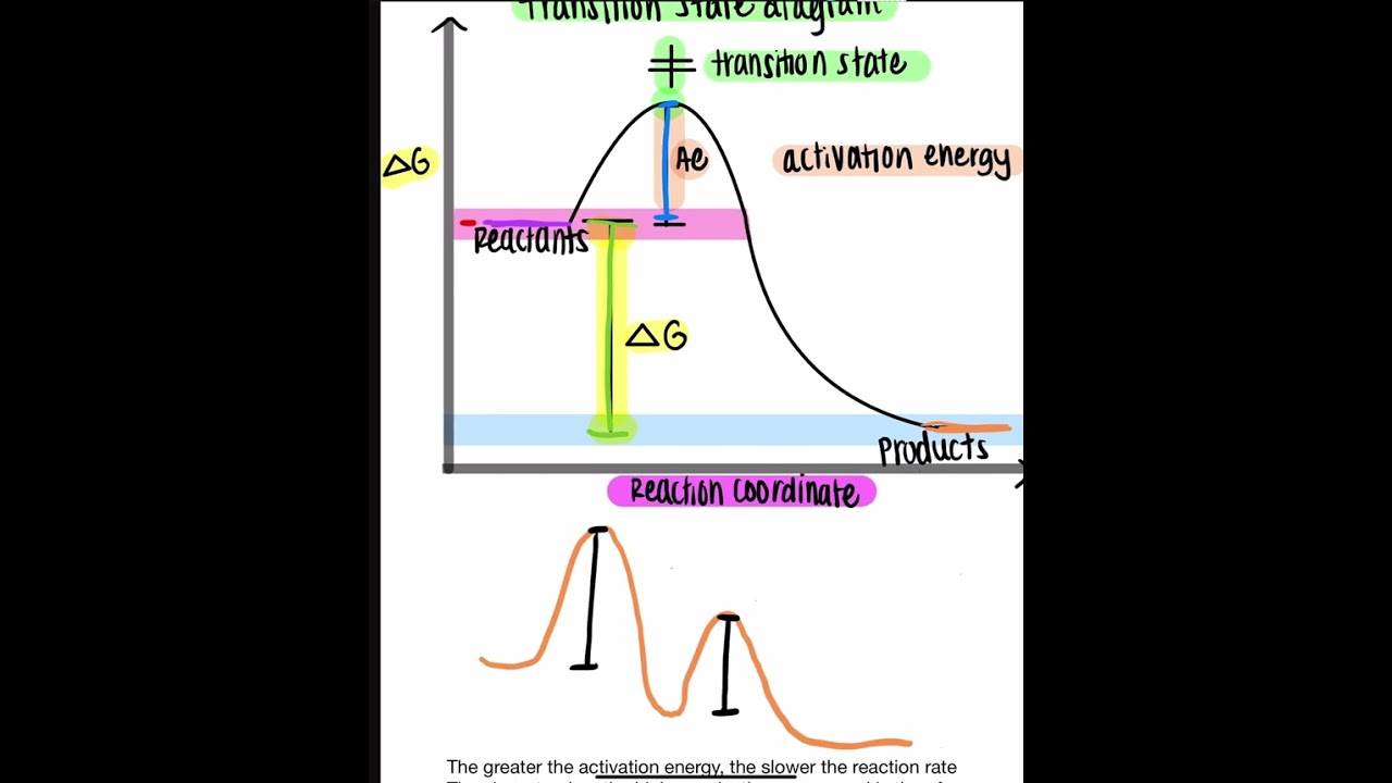 Transition state diagram, Gibbs free energy diagram, reaction coordinate diagram