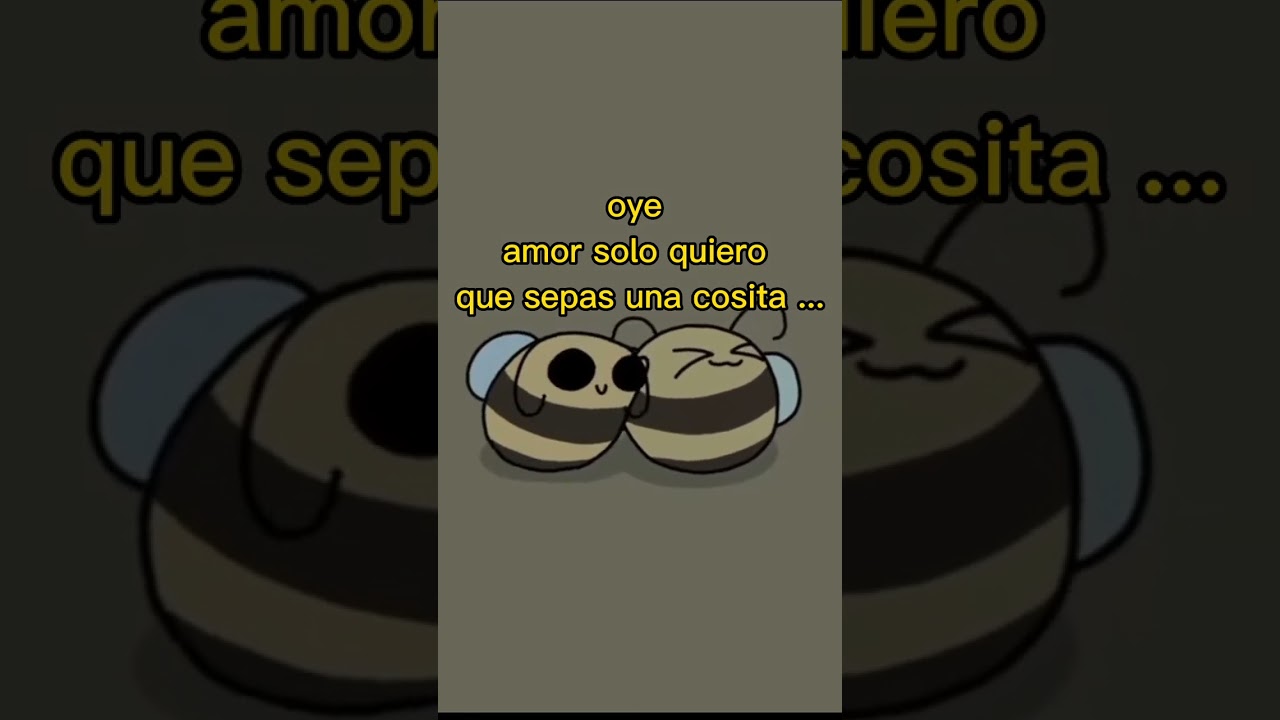 videos para dedicar a tu novia