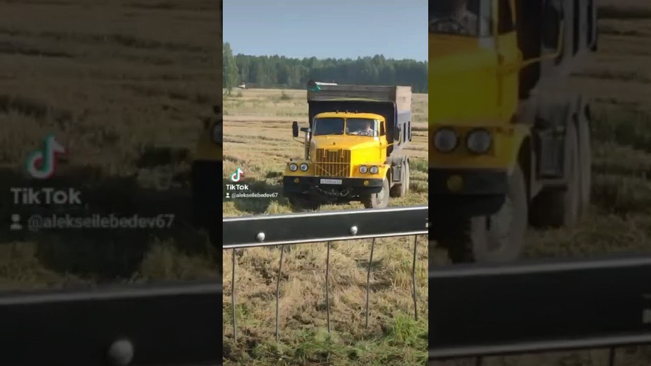 Вот такие видео снимают наши комбайнеры😀 