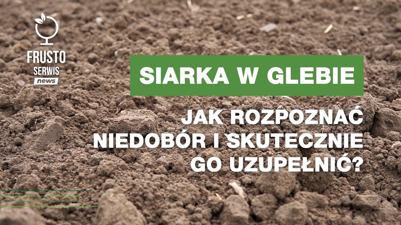 Siarka w glebie – jak rozpoznać niedobór i skutecznie go uzupełnić?