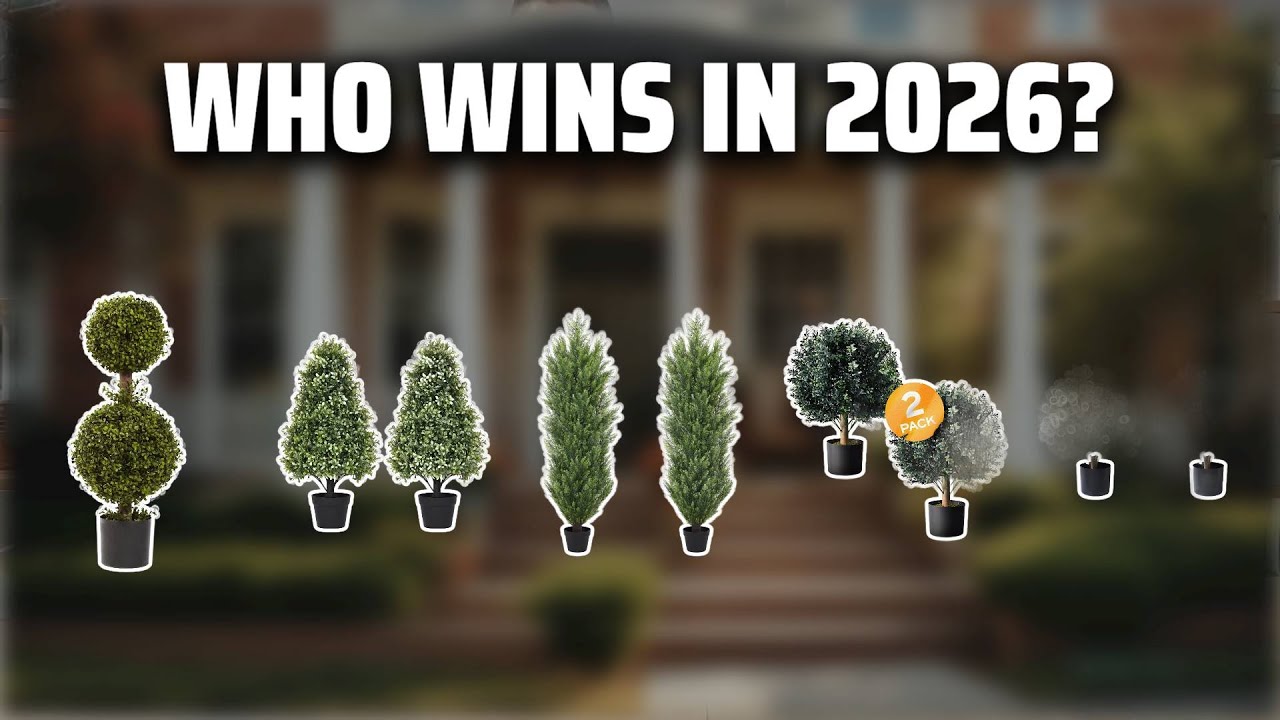 The Top 5 Best Front Porch Plants in 2026 - Must Watch Before Buying!