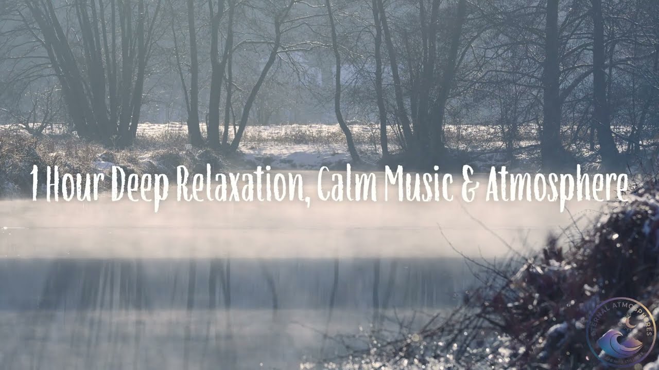 Misty Winter River | 1 Hour Calm Cinematic Nature Atmosphere for Focus & Relaxation