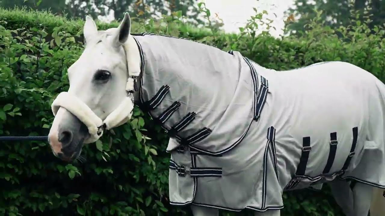 INFOS UTILES - Couvertures pour chevaux