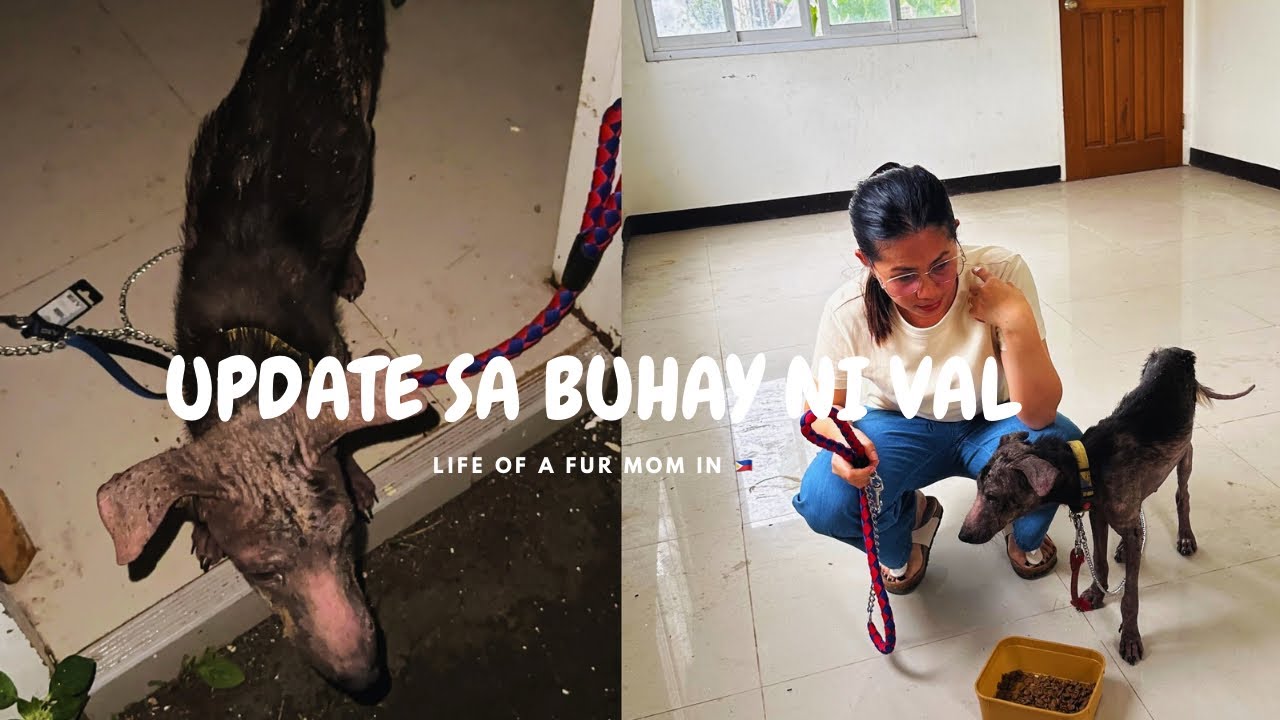 FUR-MOM LIFE UPDATE | KUMUSTA NA KAYA SI VAL?