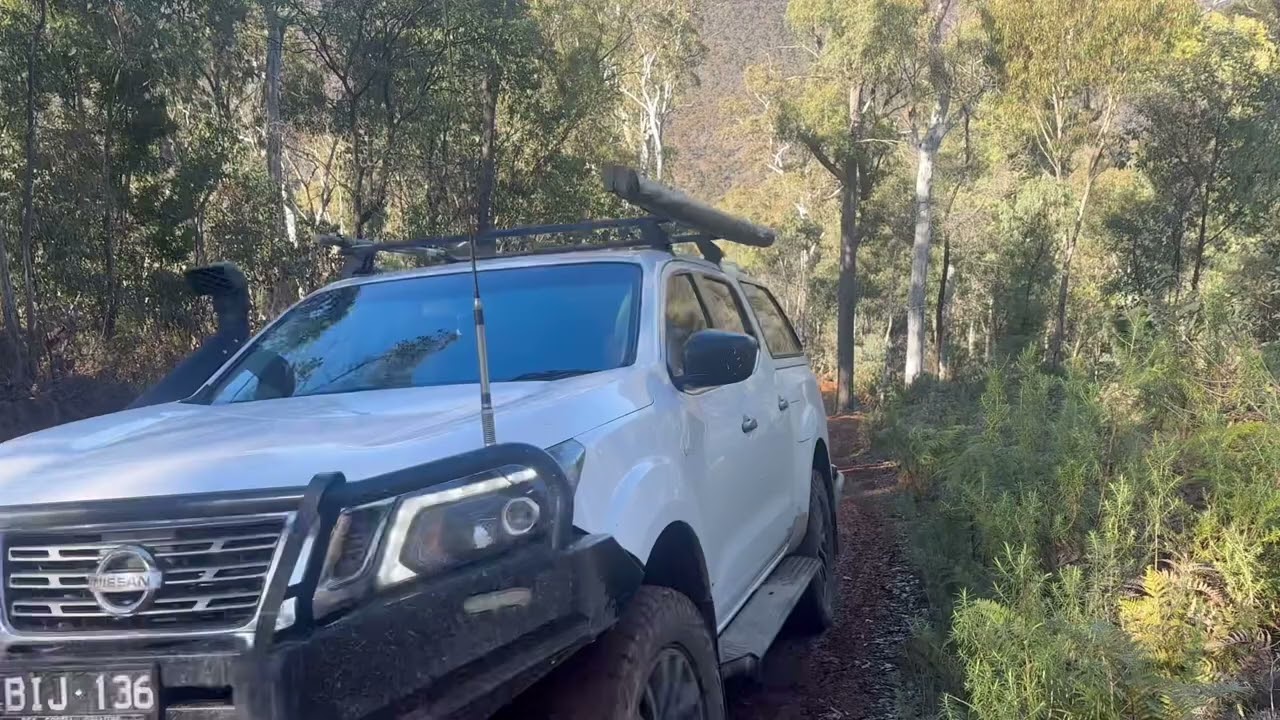Family Friendly snow trip | easy Vic High country touring around jamieson and mount skene 