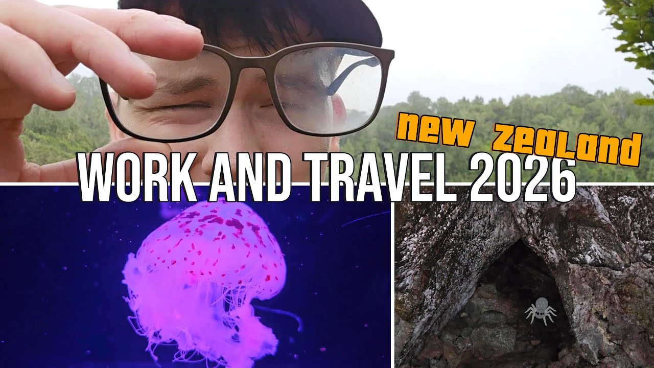 Work and Travel Neuseeland 2026 ☁️ | Sea Life & Rangitoto Island 🏝️