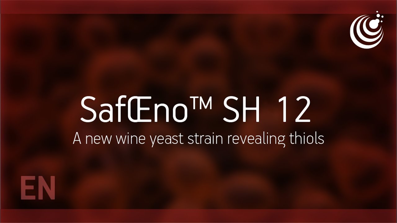 SafŒno™ SH 12 by Fermentis - Launching now - A new wine yeast strain revealing thiols