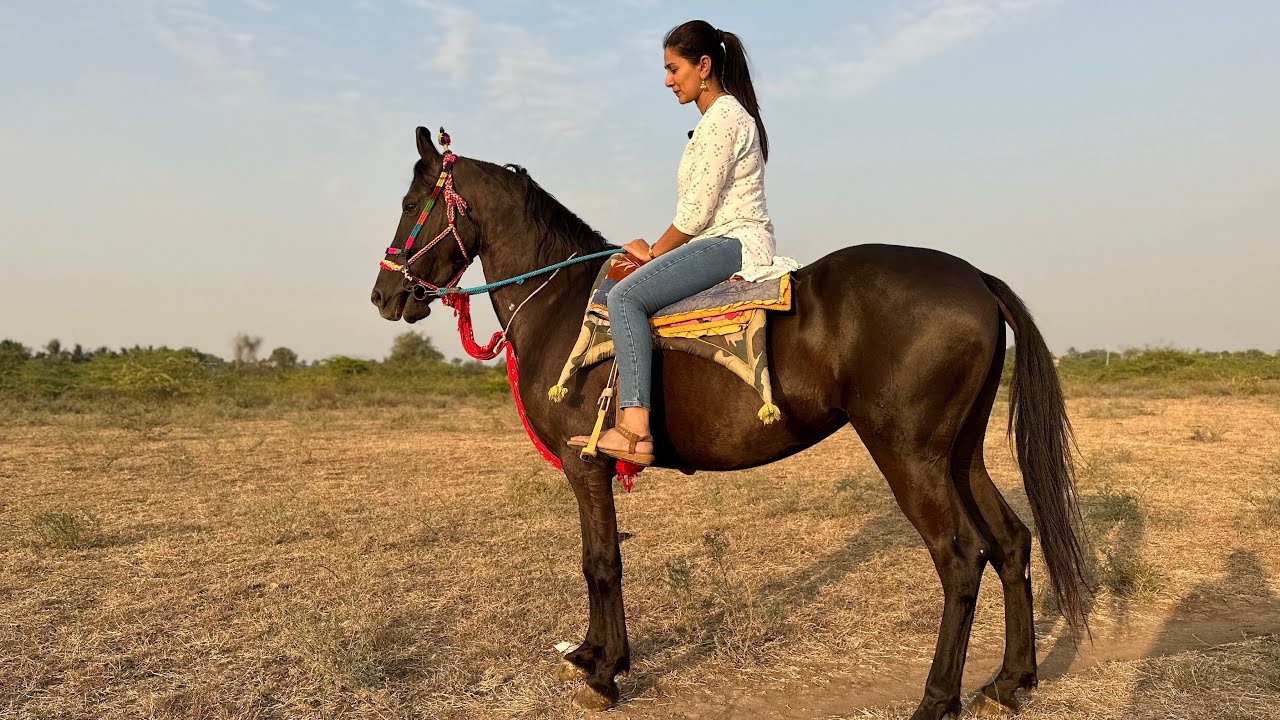 Jammu kashmir se subscribers aa gye hamare or horse riding thoda difficult lag raha hai muje