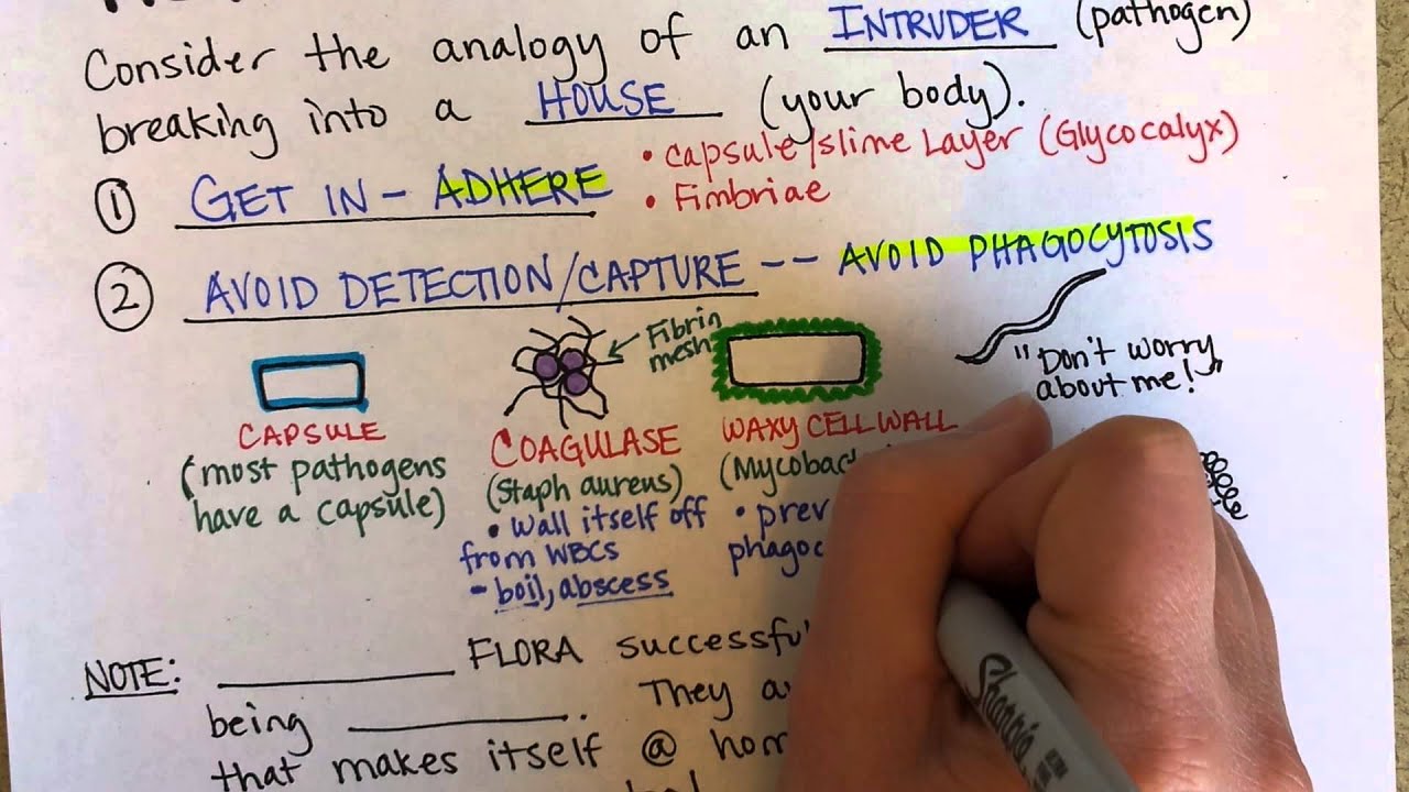 Mechanism of Disease, Part 1