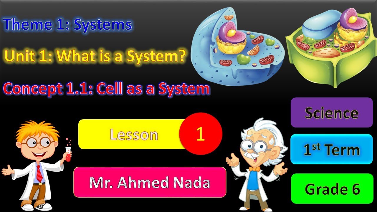 Cell as a System | Lesson 1 | Unit 1 | Theme 1 | Science | G6 | T1
