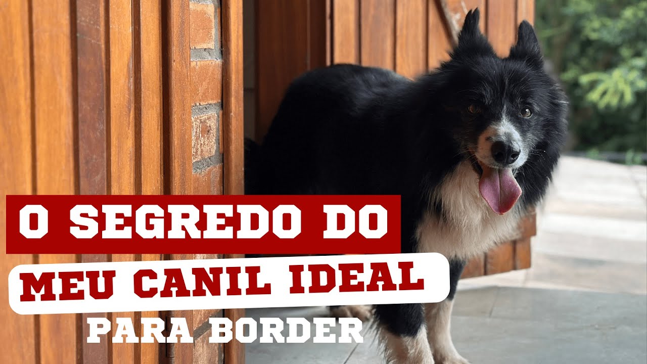 COMO É O CANIL DOS MEUS CÃES? | EPISÓDIO 21 | DIÁRIO DO PASTOR 2ª TEMPORADA