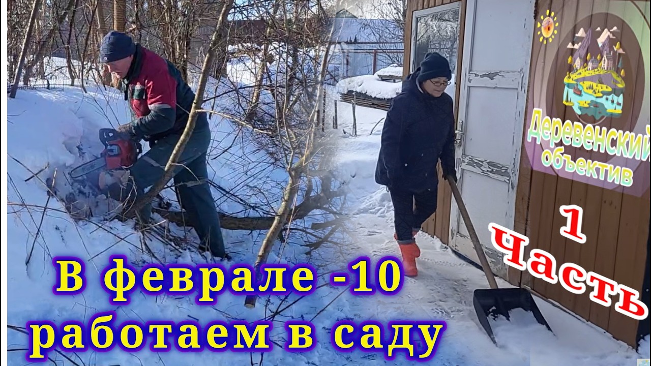 Срезаем запущенный виноградник соседа, освобождаем наш ручей от 
