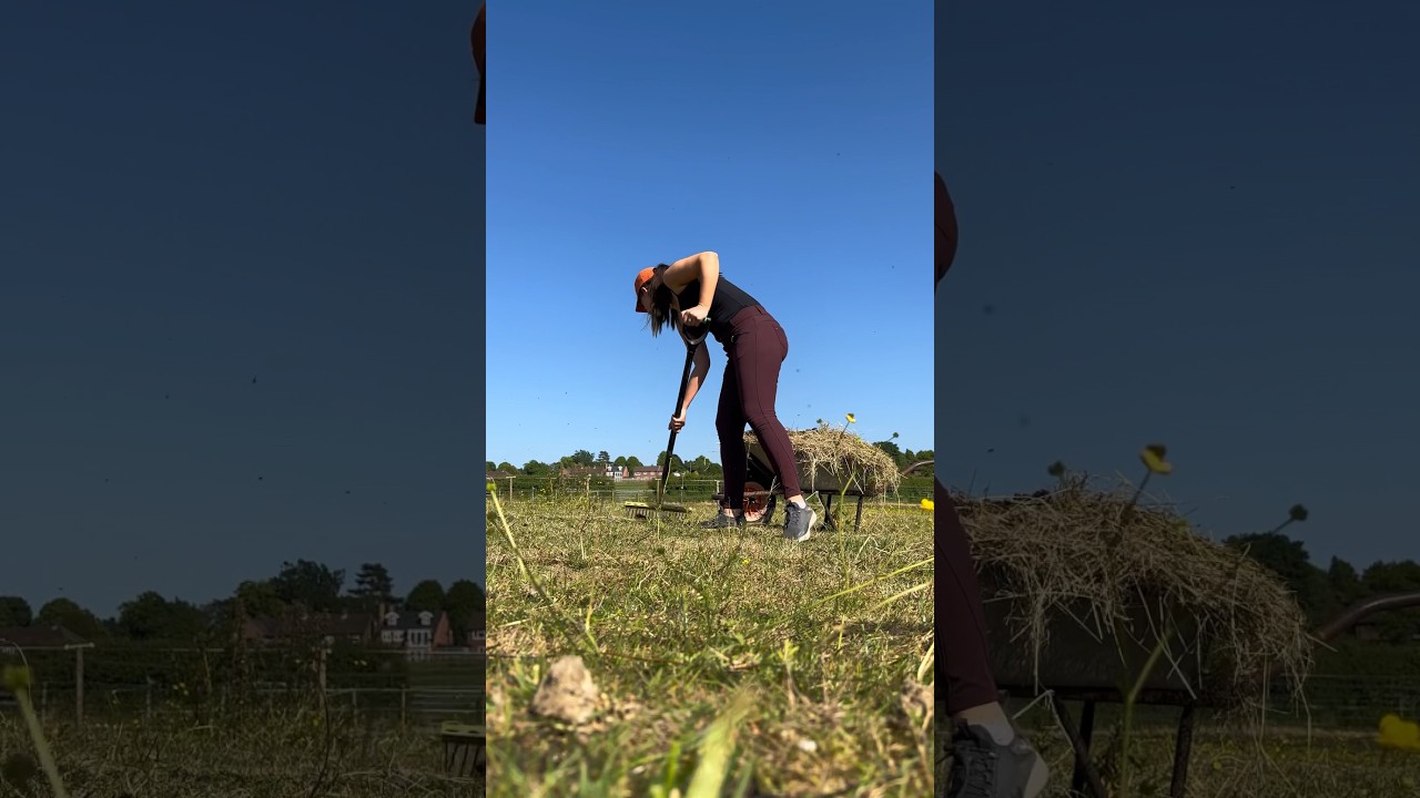 Paddock maintenance day🌾👩🏼&zwj;🌾 #horses #equestrian #equinevlog #stables
