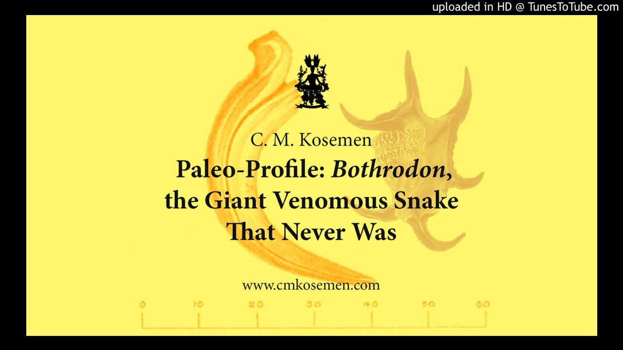 Paleo-Profile: Bothrodon, the Giant Venomous Snake That Never Was