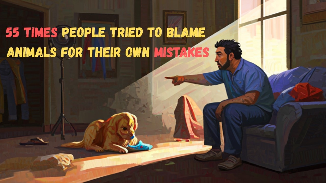 55 Times People Tried to Blame Animals for Their Own Mistakes