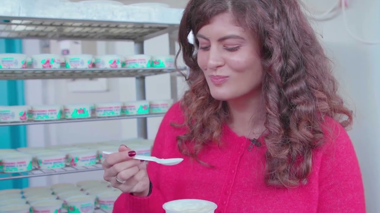 Come È Fatto Lo Yogurt Greco Autentico | Sapori Regionali