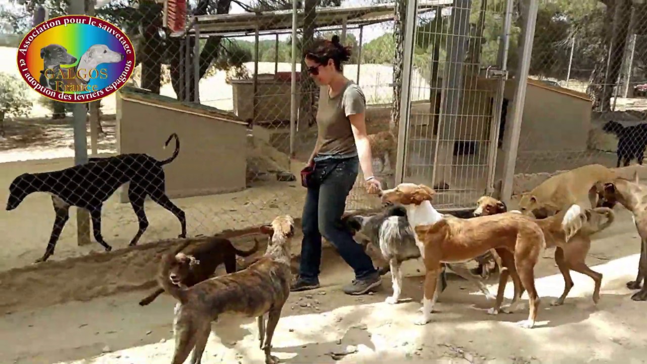 galgos france - Voyage à Cuenca de Corinne MARTIN et Rebecca
