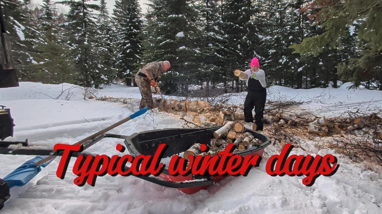 OFF GRID Typical winter days, wood cutting, snowy ride #newfoundlandlabrador #offgridliving #canada