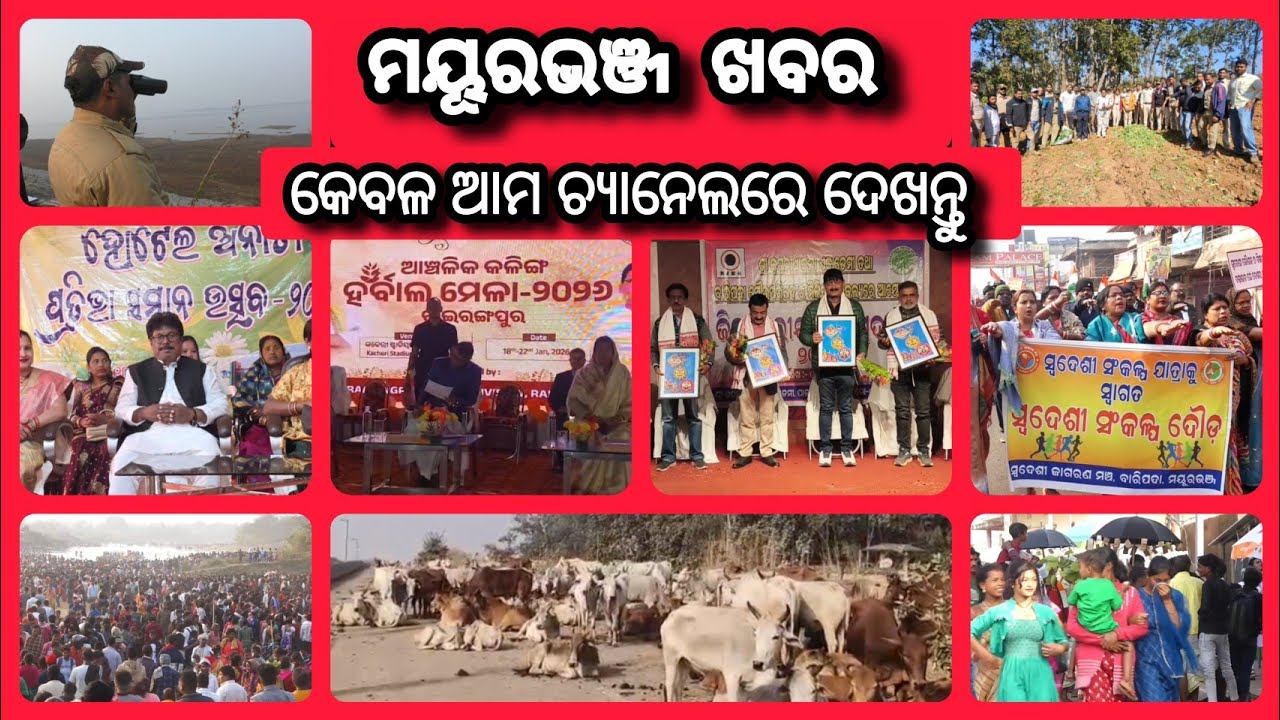 ଦେଖନ୍ତୁ କେବଳ ଆମ ଚ୍ୟାନଲରେ ମୟୂରଭଞ୍ଜ ଖବର| Update News| Dally Speed News| Mayurbhanj Public News| Ep.142