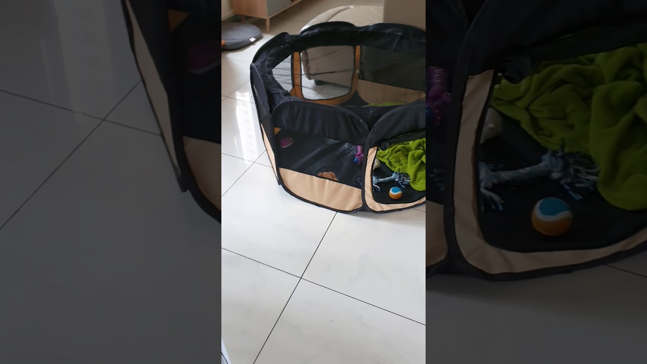 Enclos d'intérieur pliable Zoomalia