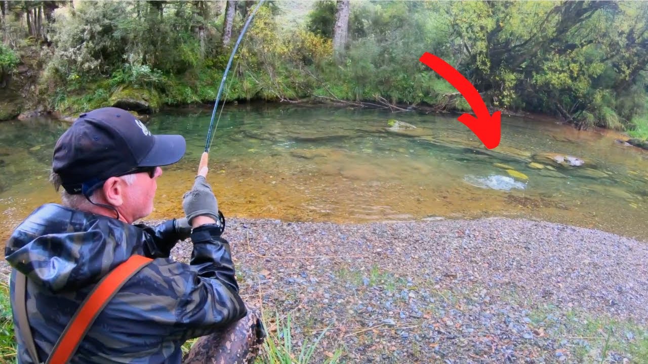 FISHING for BROWN Trout on a RAINY DAY [New Zealand]