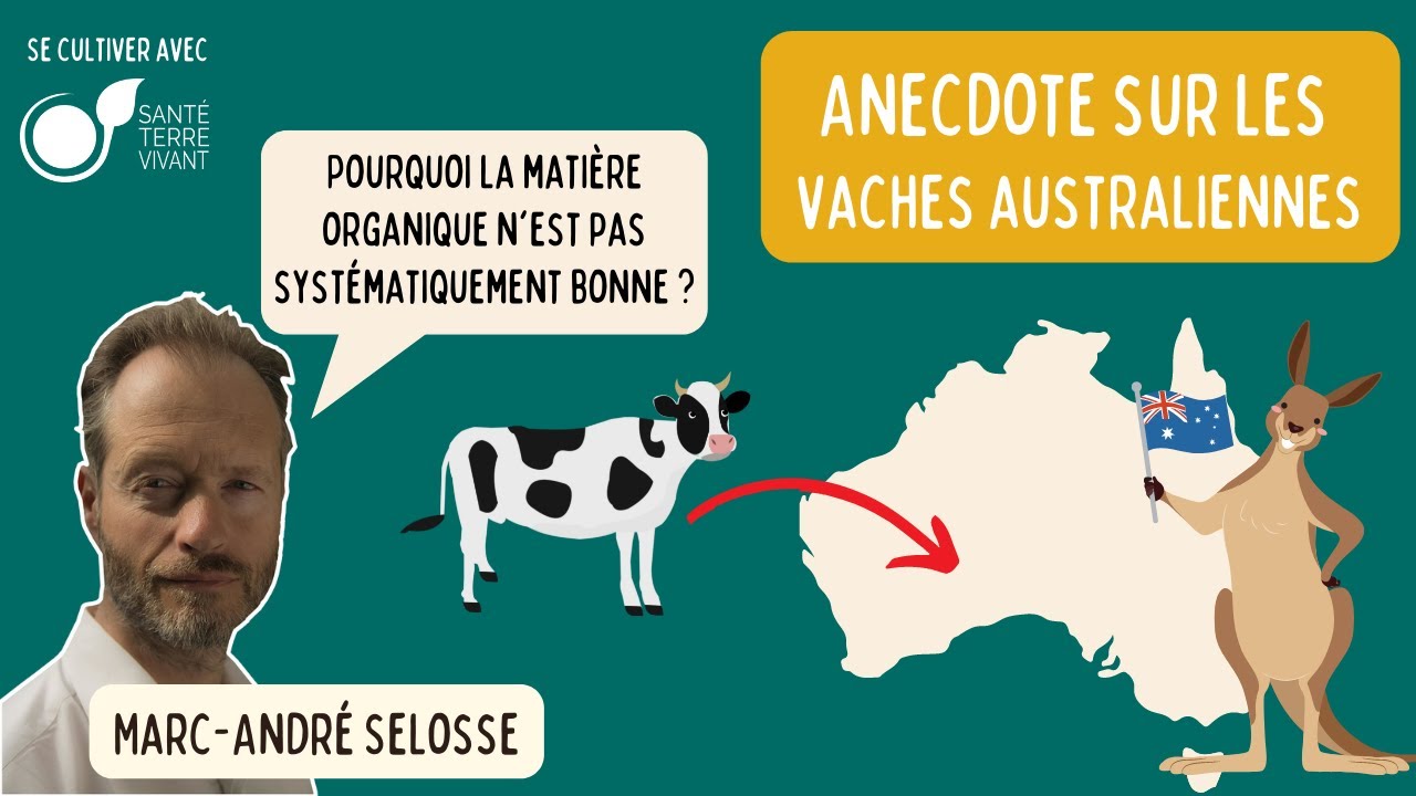 La matière organique n'est pas forcément bonne pour le sol - Marc André Selosse