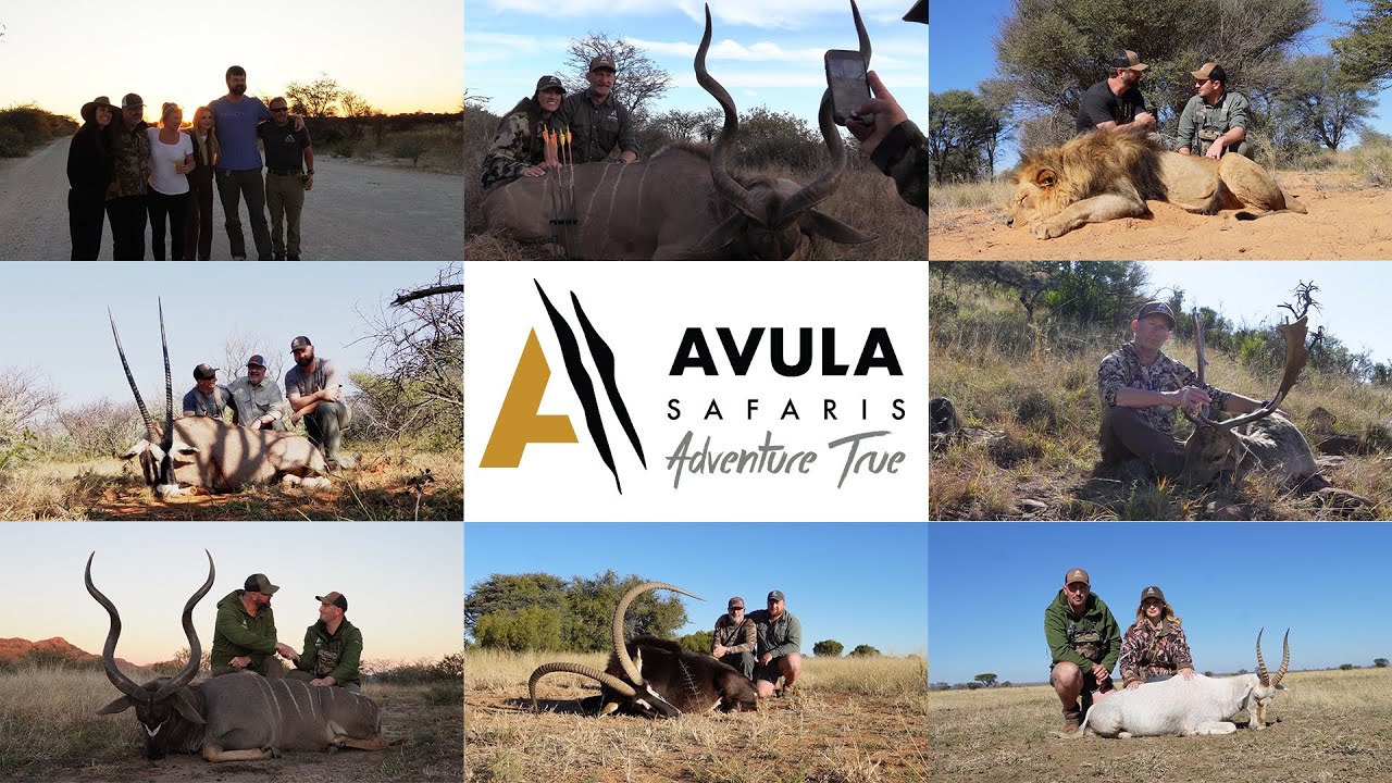 2 Lions, 3 Buffalo and 52 Plains Game with Avula Safaris