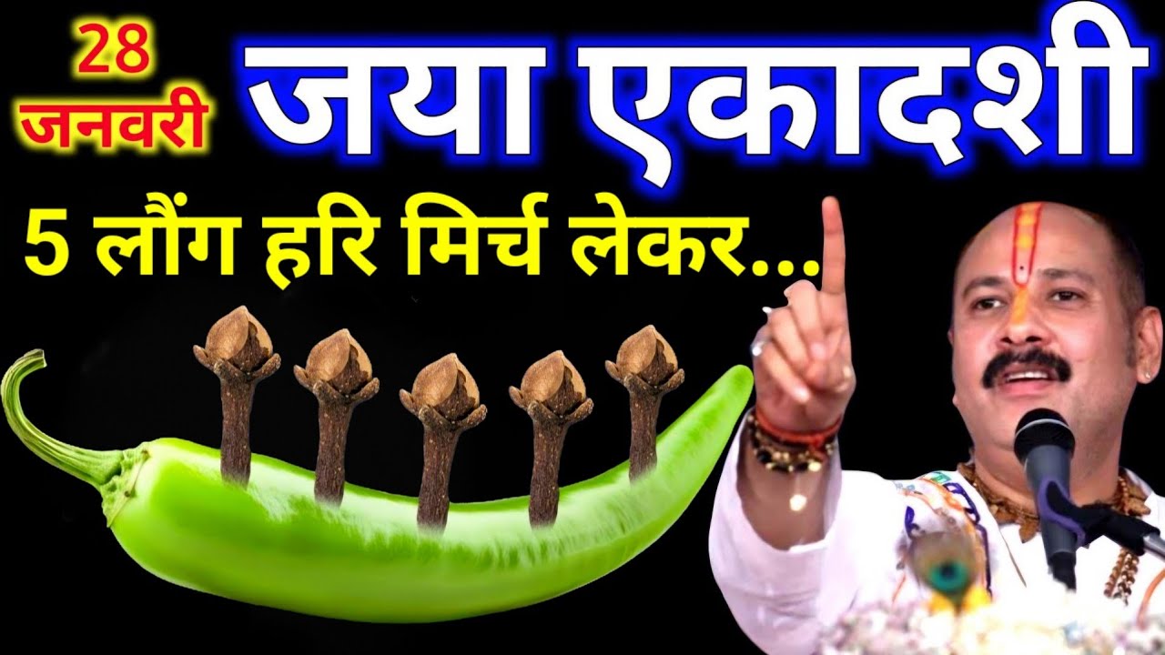 28 जनवरी जया एकादशी व्रत को 5 लौंग और एक हरी मिर्च वाला उपाय जरूर करे | pandit mishra ji