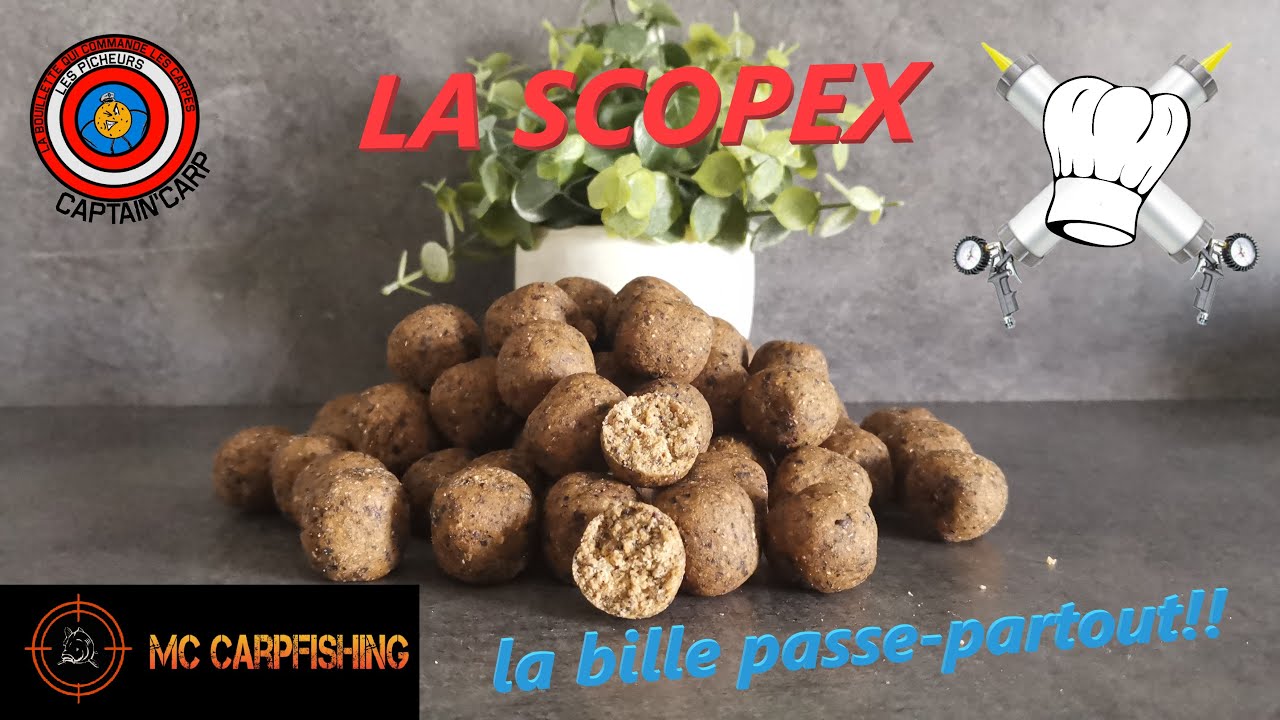 Recette la bouillette *SCOPEX* aimant à carpe!!