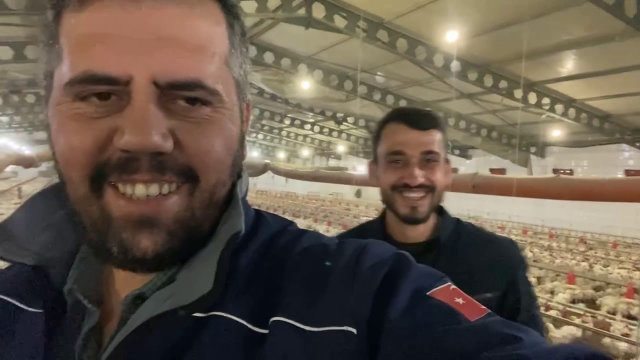 Etlik Tavuk Çiftliği.
