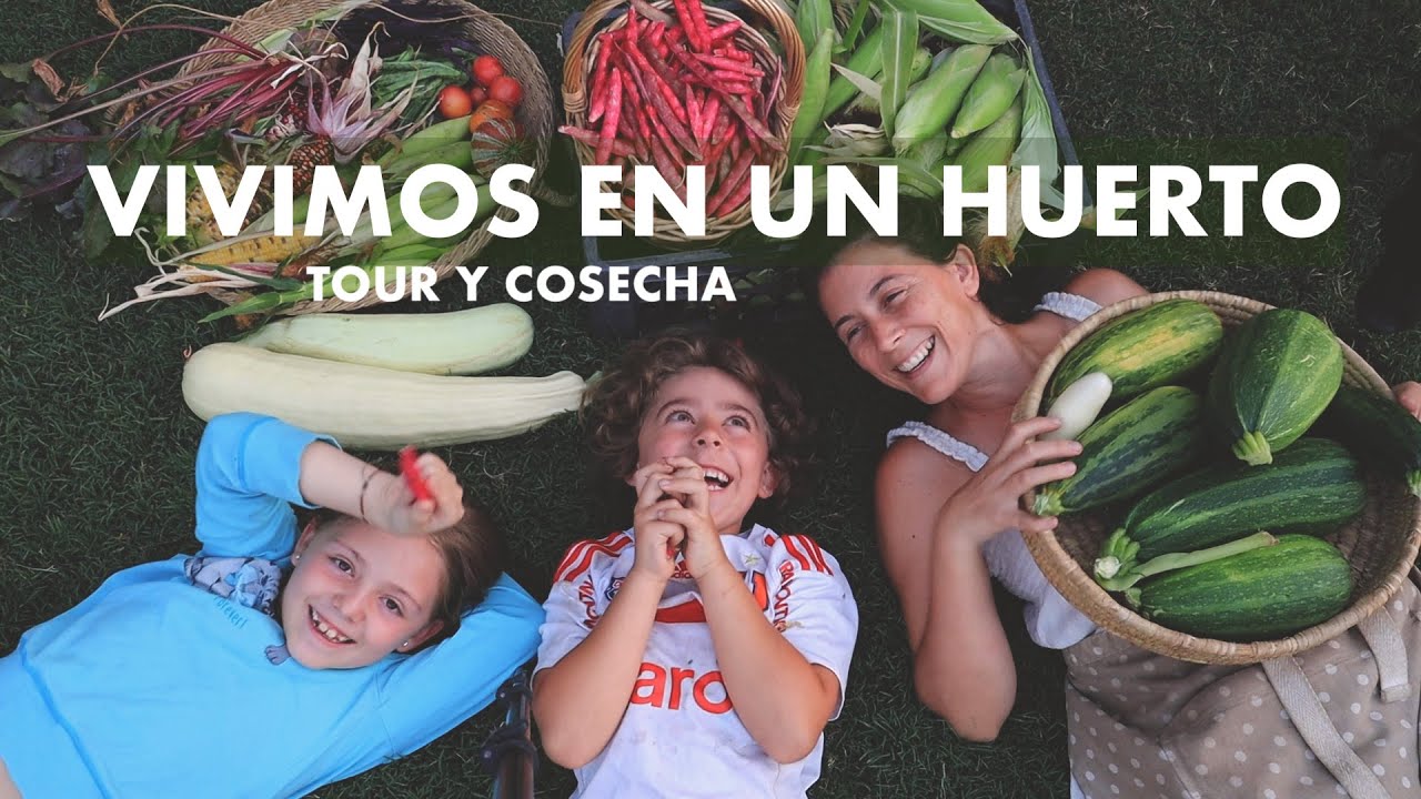 ABUNDANCIA! Nuestra Casa es un Huerto! Tour y Cosecha en nuestra Huerta Imperfecta #huertaencasa