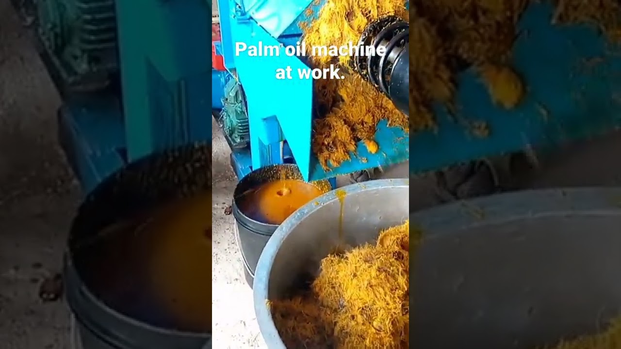 palm oil processing